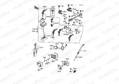 Ignition Switch