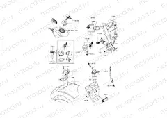 Ignition Switch