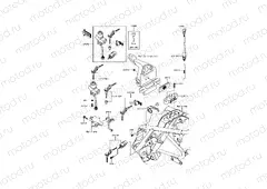 Ignition Switch