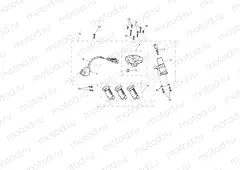 Ignition Switch & Lockset