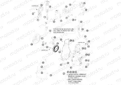 IGNITION SYSTEM