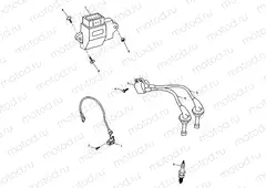 Ignition System Bonneville