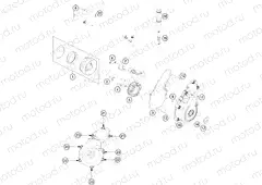 IGNITION SYSTEM|Engine|39