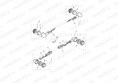 Indicators