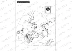 INDUCTION MODULE