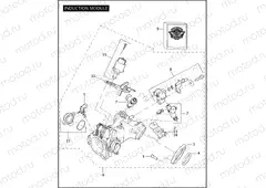 INDUCTION MODULE