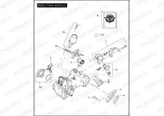 INDUCTION MODULE