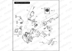 INDUCTION MODULE