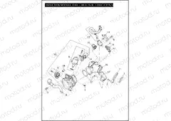 INDUCTION MODULE, FUEL - 883L/N/R, 1200C/CP/N/V/X