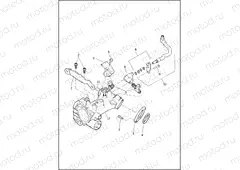 INDUCTION MODULE, FUEL