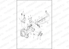 INDUCTION MODULE, FUEL