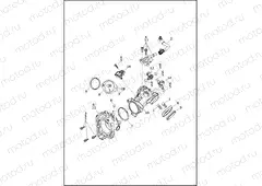 INDUCTION MODULE, FUEL