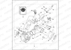 INDUCTION MODULE - FUEL INJECTED