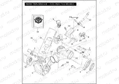 INDUCTION MODULE - FUEL INJECTED MODELS