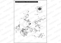 INDUCTION MODULE - FUEL INJECTED MODELS