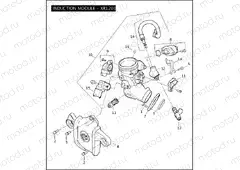 INDUCTION MODULE - XR1200