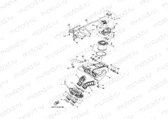 INTAKE