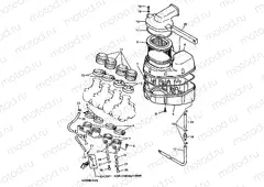 INTAKE