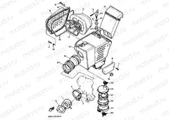 Intake