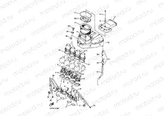 INTAKE