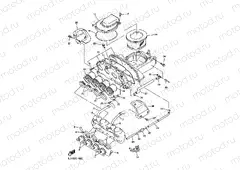 INTAKE