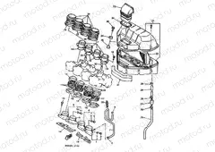 INTAKE