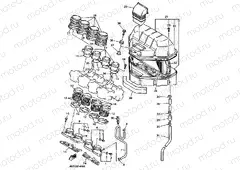 Intake