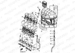 INTAKE