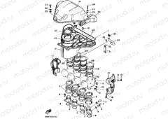 Intake