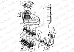 INTAKE