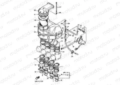 INTAKE