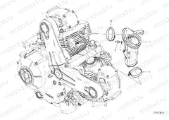 INTAKE MANIFOLD [MOD:SCR800DK]