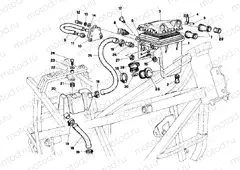 INTAKE » UNCLASSIFIED