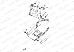 LEG SHIELD