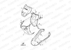 LEG SHIELD