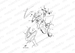 LEG SHIELD