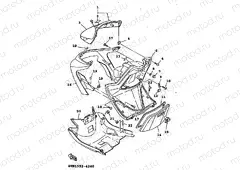 LEG SHIELD