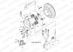 MAGNETO - A05BA25CA/CB (4994739473C08) | MAGNETO - A05BA25CA/CB (4994739473C08)
