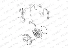 MAGNETO - A05JD32EA (4999201699920169D06) | MAGNETO - A05JD32EA (4999201699920169D06)
