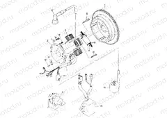 MAGNETO ASSEMBLY 250 4x4 / W928127 (4922872287D004) | MAGNETO ASSEMBLY 250 4x4 / W928127 (4922872287D004)