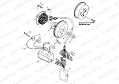 MAGNETO - B984673 (4945164516c007) | MAGNETO - B984673 (4945164516c007)