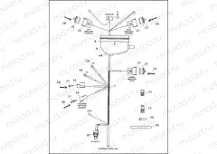 MAIN WIRING HARNESS (1 OF 3)