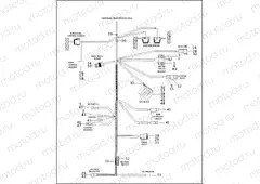 MAIN WIRING HARNESS - 1200 SPORT (2 OF 2)