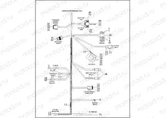 MAIN WIRING HARNESS (2 OF 2)