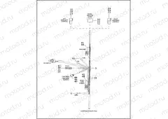 MAIN WIRING HARNESS - 883/1200 CUSTOM (1 OF 2)