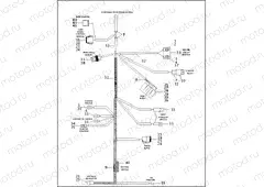 MAIN WIRING HARNESS - 883/1200 CUSTOM (2 OF 2)