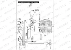 MAIN WIRING HARNESS - ABS BRAKES - FLHP & FLHPE (3 OF 5)