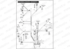 MAIN WIRING HARNESS - ABS BRAKES - FLHP & FLHPE (5 OF 5)