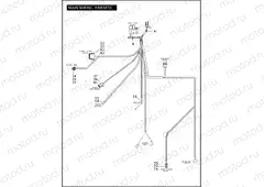 MAIN WIRING HARNESS (CONTINUED)