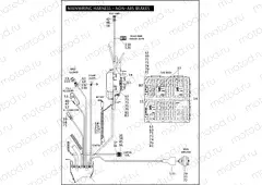 MAIN WIRING HARNESS - NON-ABS BRAKES - FLHP & FLHPE (3 OF 5)